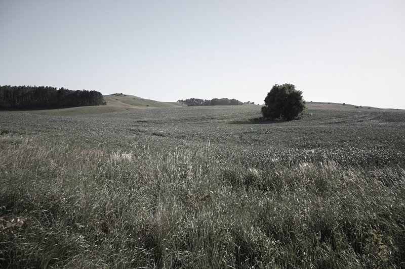 Killikus&reg; Fotographie